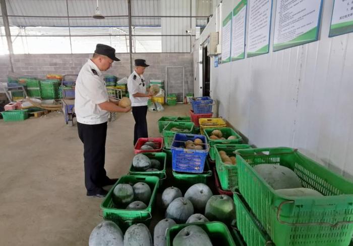 我市著力建設(shè)粵港澳大灣區(qū)菜籃子果盤子米袋子 食用農(nóng)產(chǎn)品供給持續(xù)升級(jí)